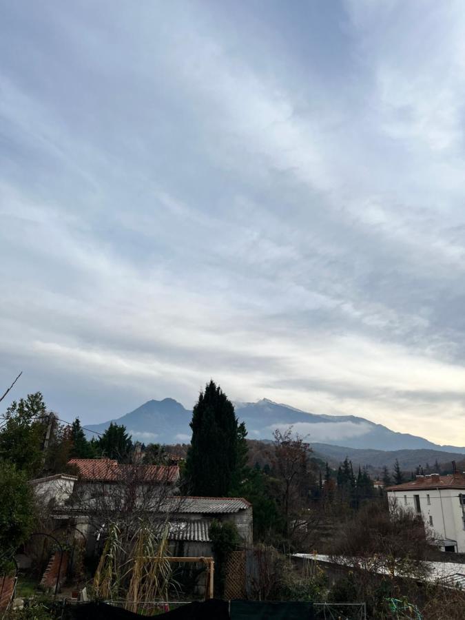 Le Cosy En Coeur De Ville Prades  Luaran gambar